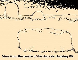 Bruiach ring cairn - drawing