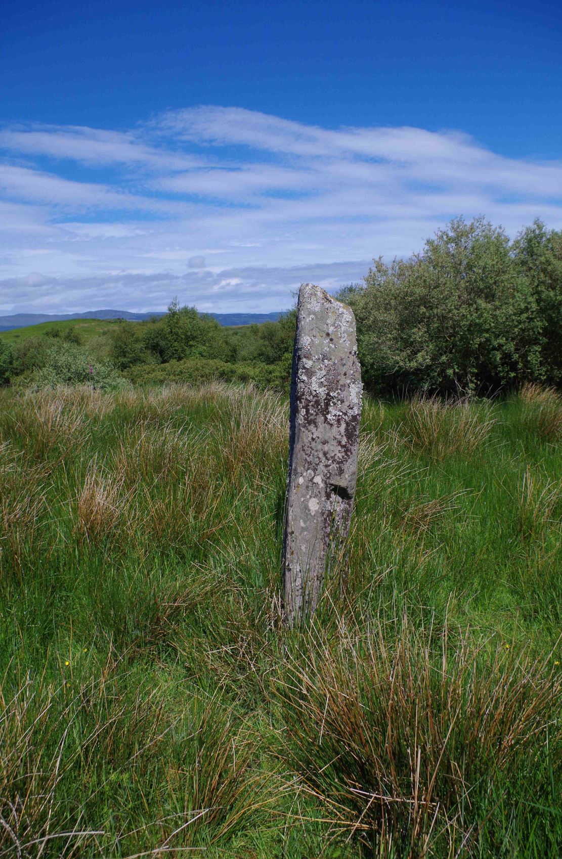 The single prehistoric standing stone at Stillaig.