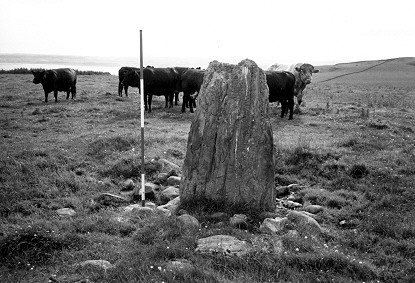 Bagbie standing stone  - B+W photo