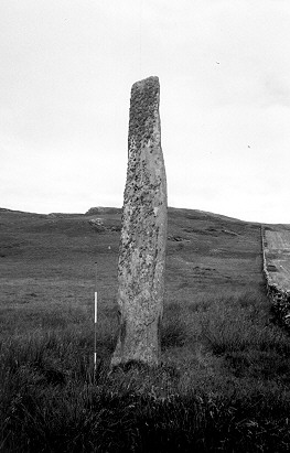 Ballinaby standing stones - photo