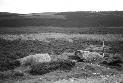 Corogle Burn fallen standing stones