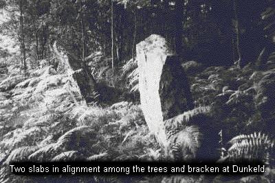 Dunkeld standing stones - photo