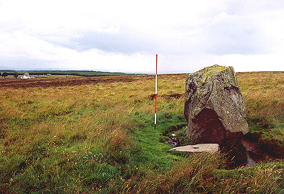 Wallace's Stone photo